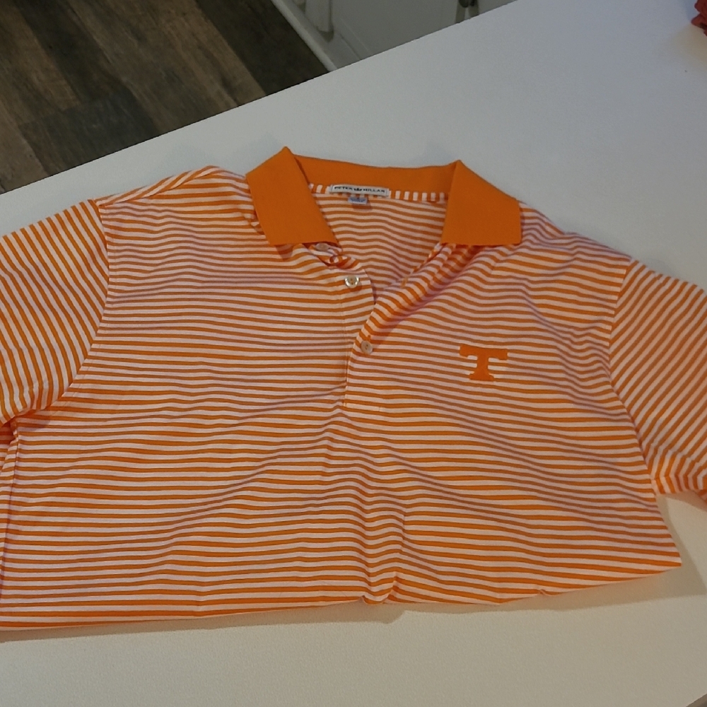 Orange Striped  Polo Shirt